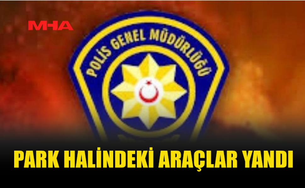 PARK HALİNDEKİ ÜÇ ARAÇ YANARAK ZARAR GÖRDÜ