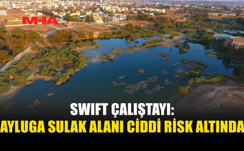 SWIFT ÇALIŞTAYI: AYLUGA SULAK ALANI GERİ DÖNÜŞÜ ZOR OLAN TAHRİBATLARLA KARŞI KARŞIYA