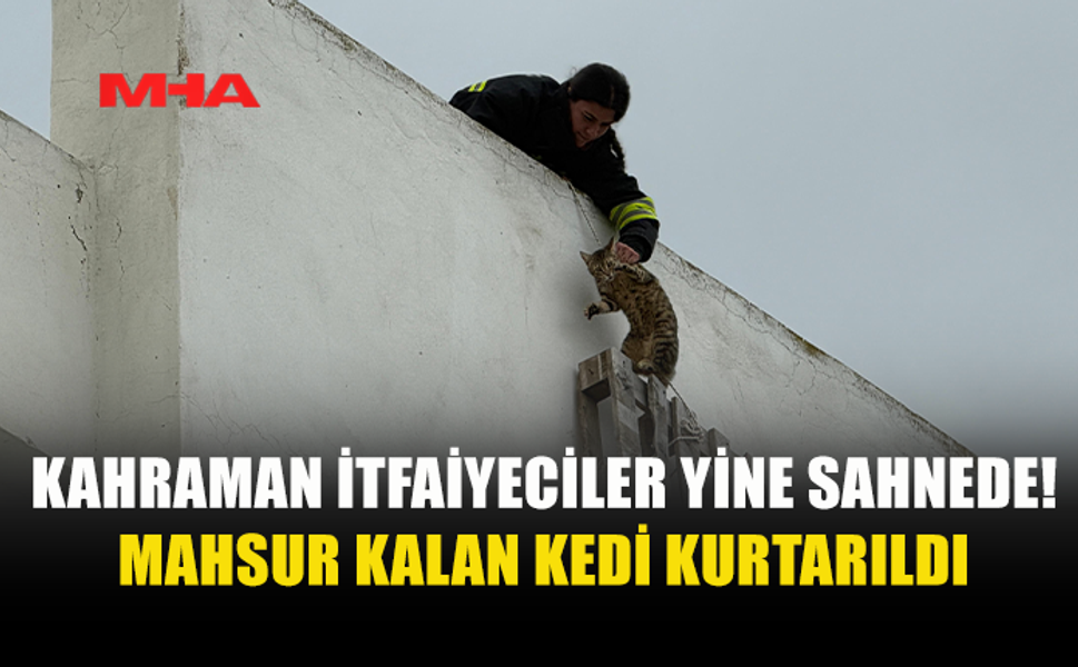 KAHRAMAN İTFAİYECİLER MAHSUR KALAN KEDİYİ KURTARDI