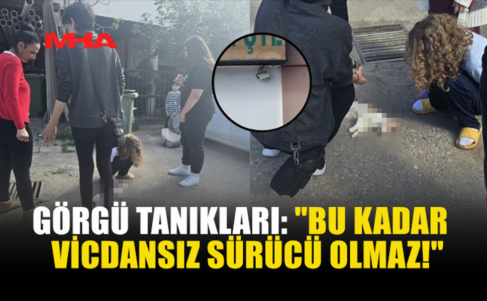 YENİBOĞAZİÇİ'NDE BİR SÜRÜCÜ KEDİYE ÇARPIP KAÇTI!
