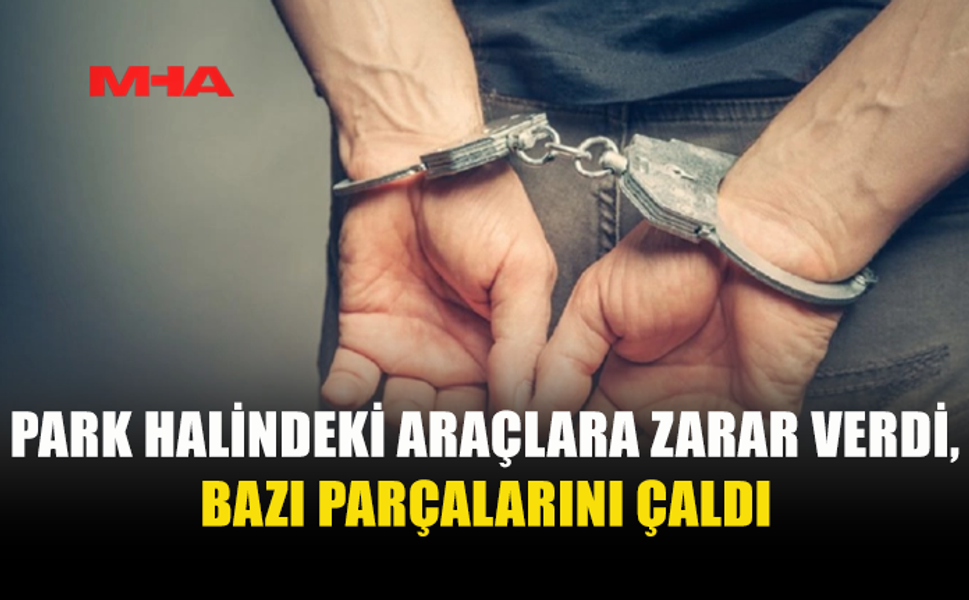 İSKELE’DE BİR ŞAHIS PARK HALİNDEKİ ARAÇLARA ZARAR VERDİ