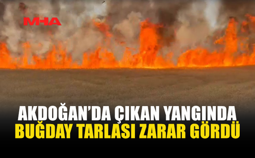 AKDOĞAN'DA BUĞDAY TARLASI ALEVLERE TESLİM OLDU