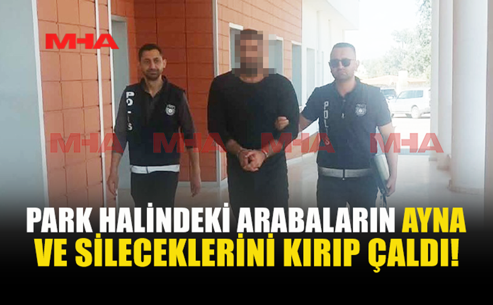 İSKELE’DE ARAÇLARA ZARAR VERİP YAĞMALAYAN ŞAHIS TUTUKLANDI