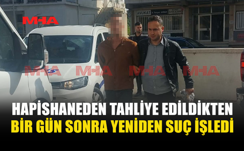 CEZAEVİNDEN ÇIKTI, ERTESİ GÜN KOMŞUSUNU DARP ETTİ