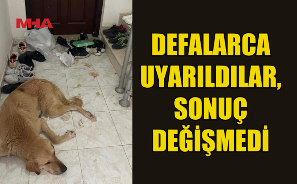 APARTMAN SAKİNLERİNİN SABRI TAŞTI