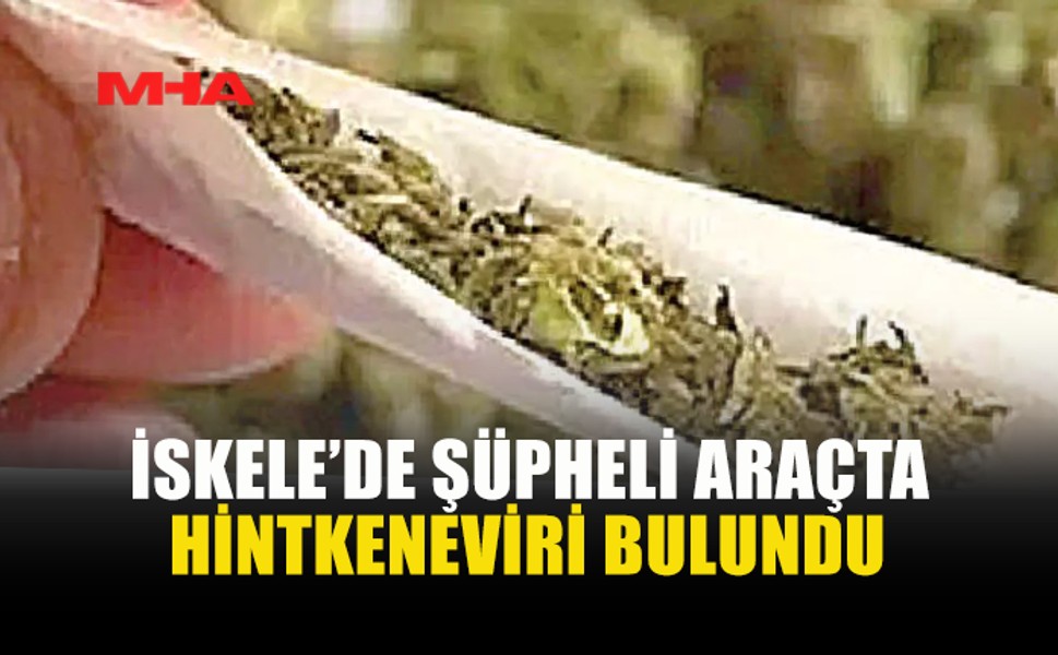 İSKELE'DE HİNTKENEVİRİ ELE GEÇİRİLDİ