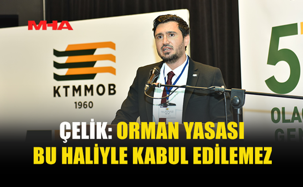 ÇELİK: TEKNİK GÖRÜŞLER YOK SAYILDI