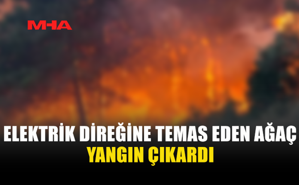 KARŞIYAKA’DA İZİNSİZ AĞAÇ KESİMİ YANGINA NEDEN OLDU