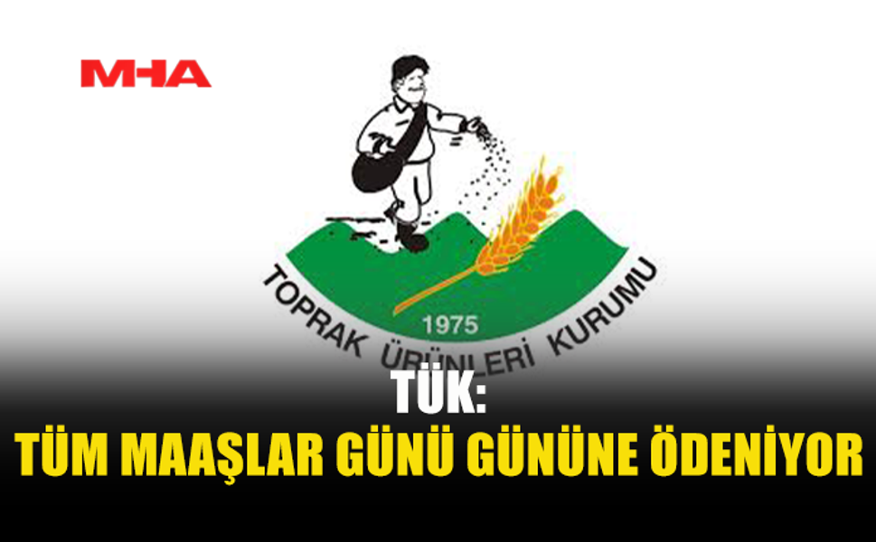 TÜK: MALİ YAPIMIZDA OLUMSUZLUK YOK