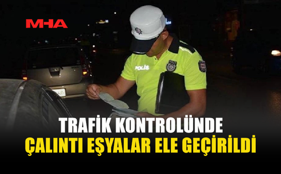 İSKELE-KARPAZ ANAYOLU’NDA HIRSIZLIK ŞÜPHESİYLE İKİ TUTUKLAMA