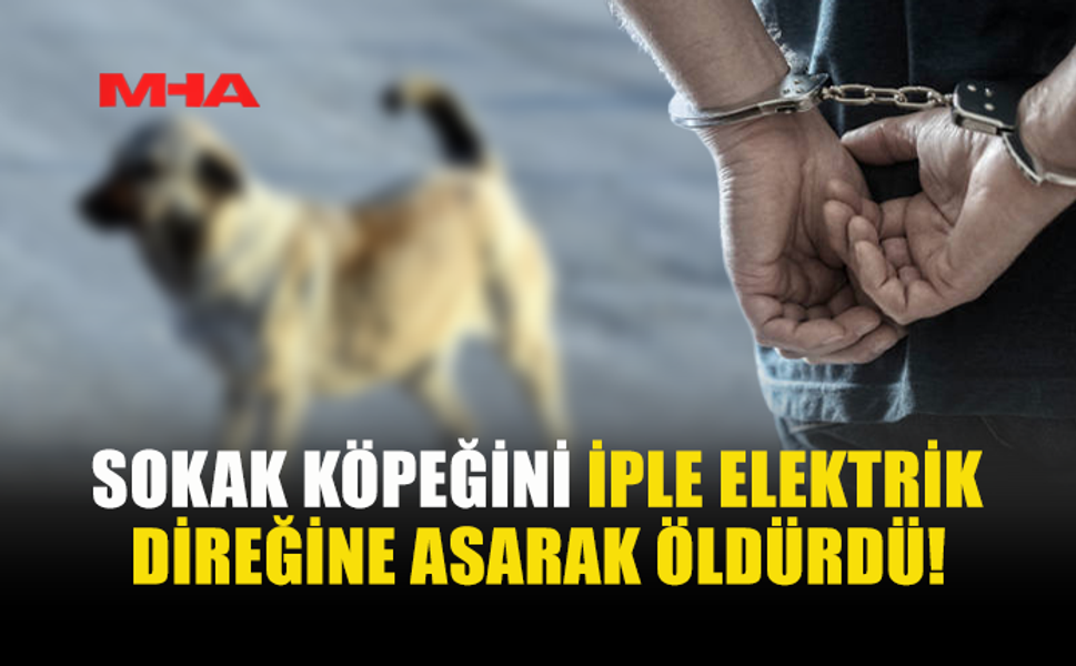 SİPAHİ’DEKİ V*HŞET OLAYINDA ZANLI YAKALANDI