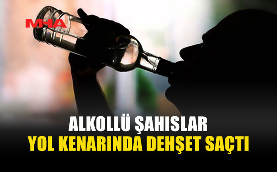 ZİYAMET-KUMYALI YOLUNDA SOPALI DARP: 2 TUTUKLAMA