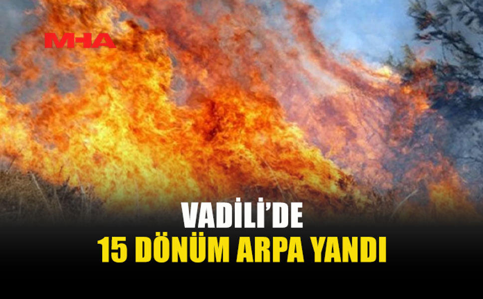 VADİLİ’DE ARAZİ YANGINI: 60 DÖNÜM ALAN ZARAR GÖRDÜ