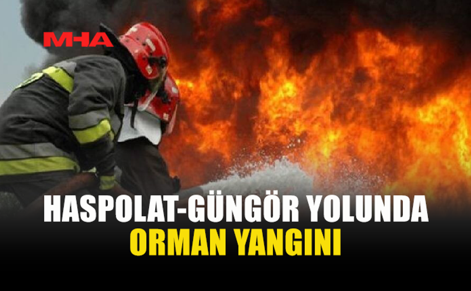 HASPOLAT'TA ORMANLIK ALANDA KORKUTAN YANGIN