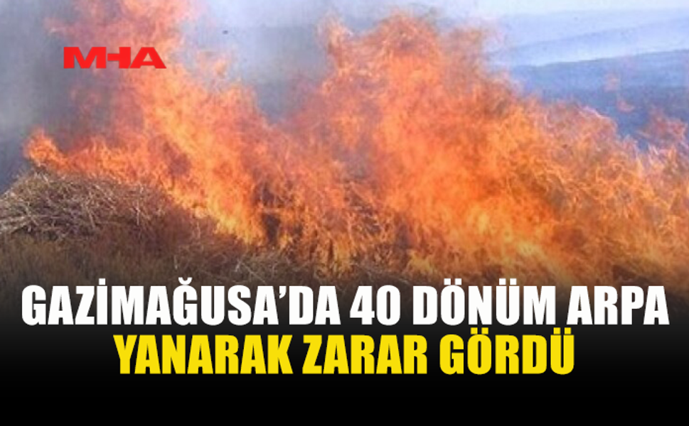 ÇANAKKALE AĞILLAR BÖLGESİNDE TARLA YANGINI