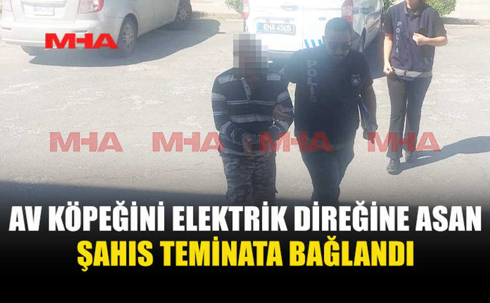SİPAHİ’DE KÖPEĞİ DİREĞE ASAN ŞAHIS TEMİNATA BAĞLANDI