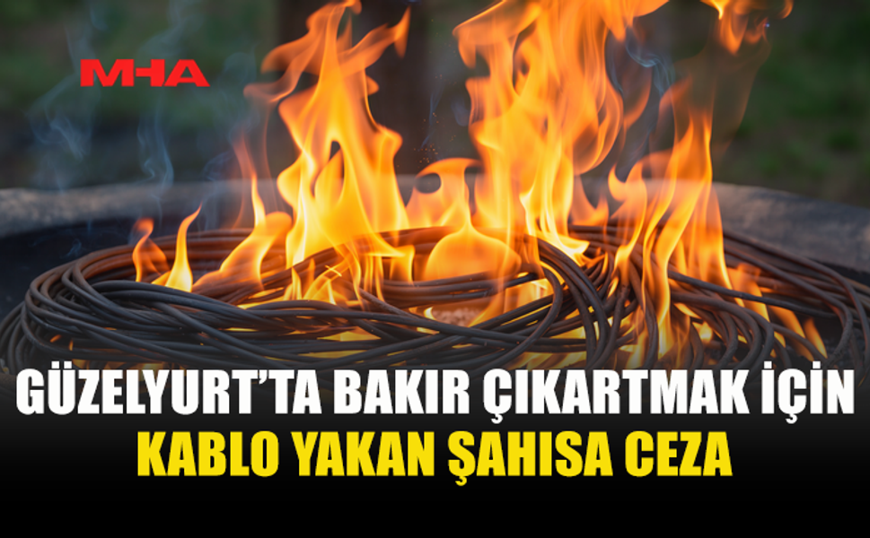 ESKİ KABLOLARI YAKAN ŞAHISA CEZA KESİLDİ