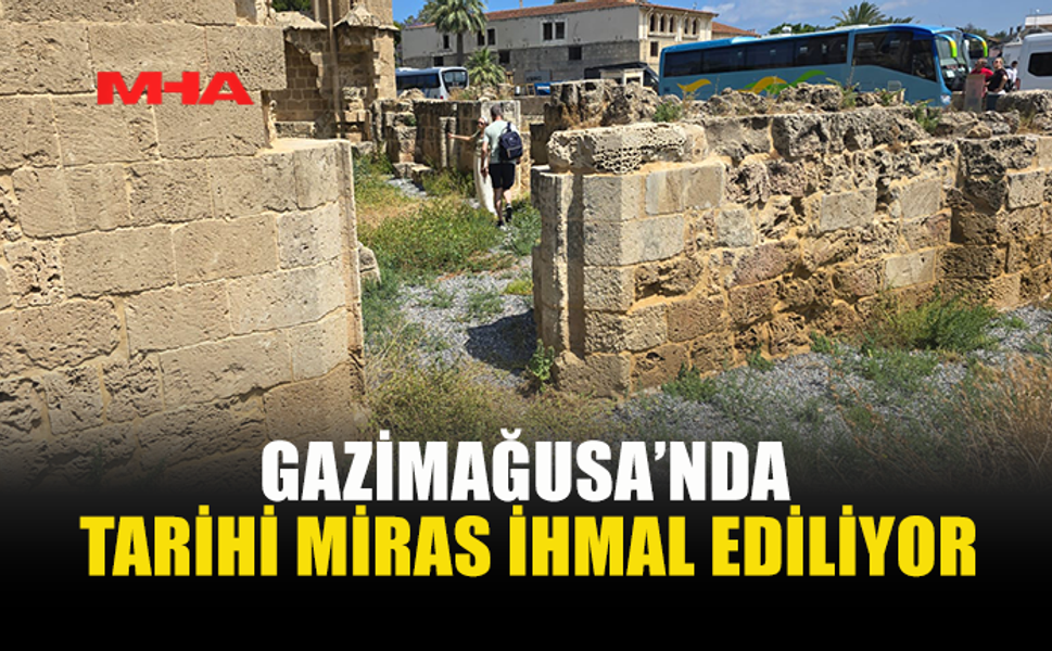 TARİHİ YAPILAR YABANİ OTLAR ARASINDA KALDI