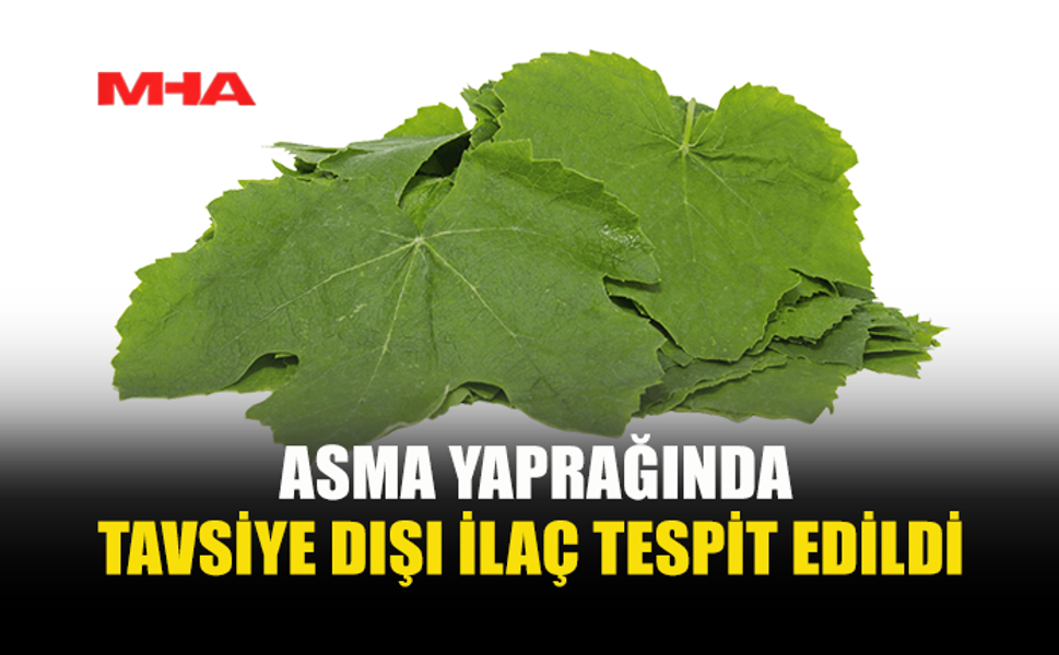 TARIM DAİRESİ GIDA DENETİM RAPORUNU AÇIKLADI