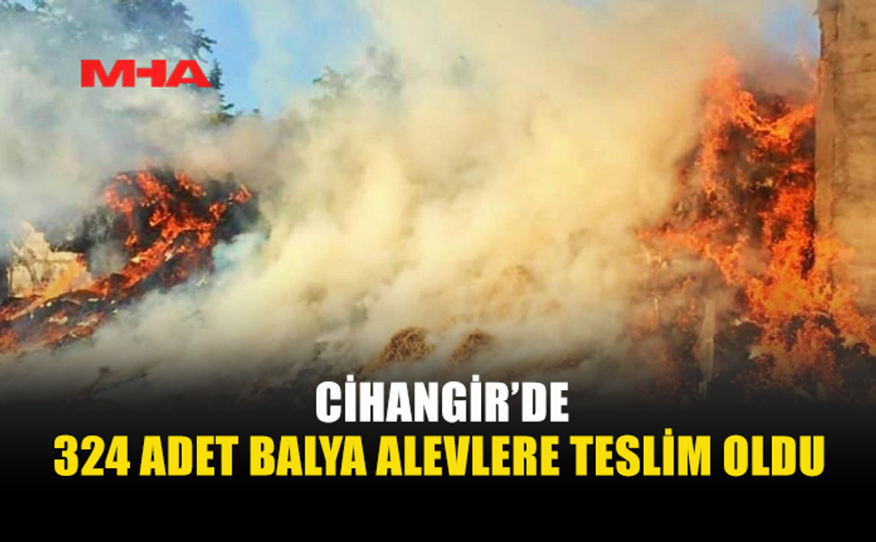 CİHANGİR’DE BALYA YANGINI: 324 BALYA KÜL OLDU