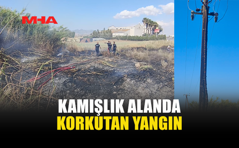 EVSU İLE HACI ALİ FABRİKASI ARASINDA KAMIŞLIK ALANDA YANGIN
