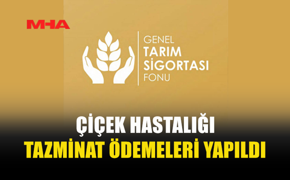 KÜÇÜKBAŞ HAYVAN KAYIPLARI İÇİN TAZMİNAT ÖDENDİ