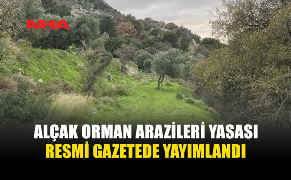 ALÇAK ORMAN ARAZİLERİNİN DEVRİ VE İCARI (DEĞİŞİKLİK) YASASI YÜRÜRLÜĞE GİRDİ