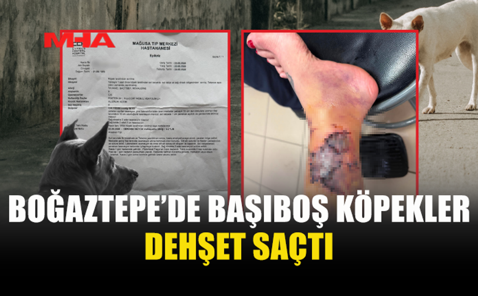 BOĞAZTEPE’DE VATANDAŞA KÖPEK SALDIRDI!