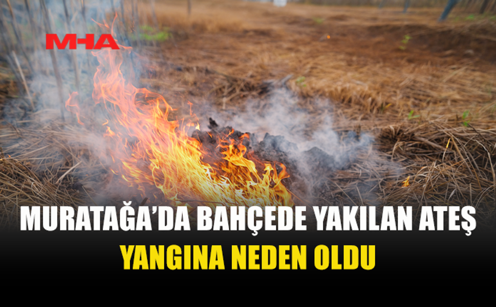 BAHÇEDE YAKILAN YANGINA FELAKETE DÖNÜŞTÜ