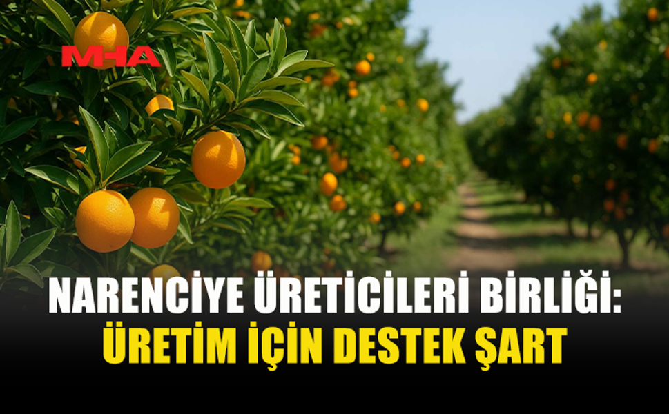 NARENCİYE ÜRETİCİLERİNDEN ÖDEME ÇAĞRISI