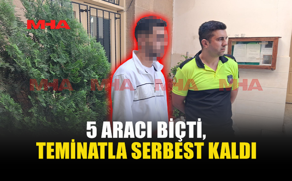 5 ARACA ÇARPTI, TEMİNATLA SERBEST KALDI