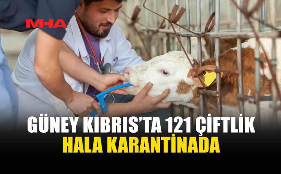 GÜNEY KIBRIS’TA 121 ÇİFTLİKTE KARANTİNA SÜRÜYOR