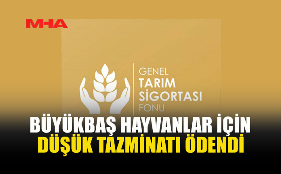 71 BÜYÜKBAŞ HAYVAN İÇİN TAZMİNAT ÖDENDİ