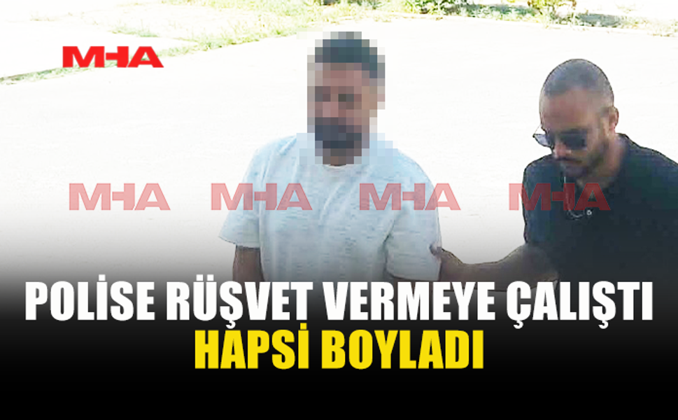 POLİSE 100 DOLAR RÜŞVET TEKLİF ETTİ
