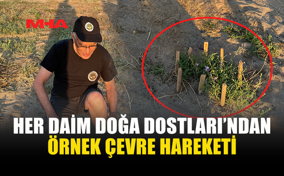 HER DAİM DOĞA DOSTLARI'NDAN DENİZ ŞEBBOYU İÇİN KORUMA ÇABASI