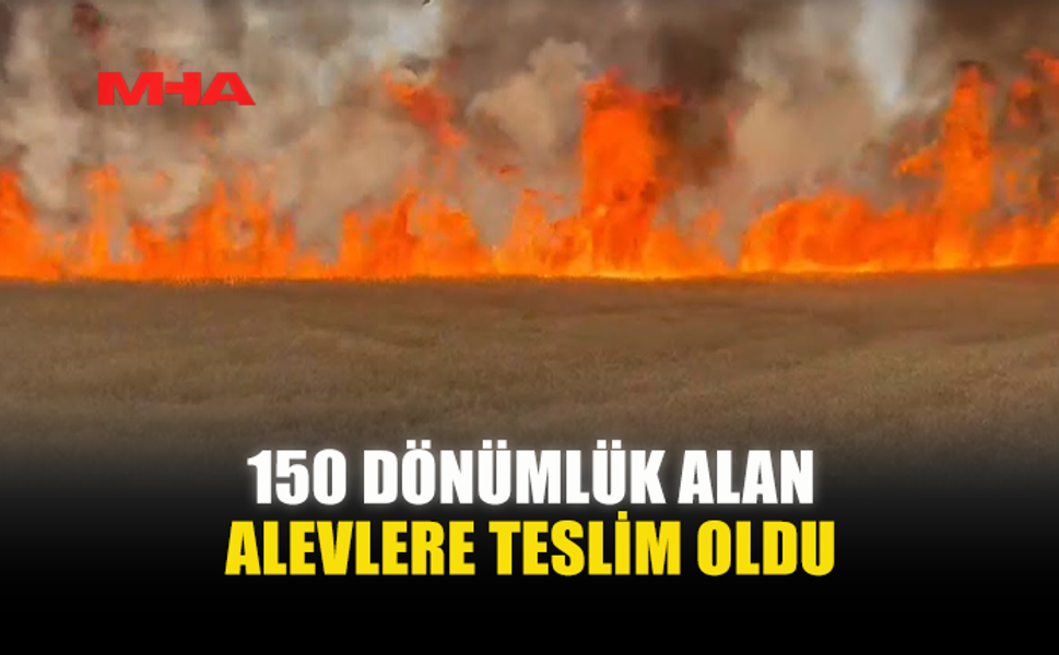 TARIM ARAZİSİNDE BÜYÜK YANGIN...