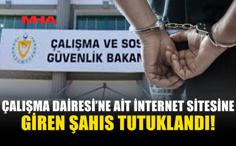 DEVLETİN WEB SİTESİNE GİREN ŞAHIS YAKALANDI