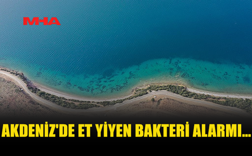 “ET YİYEN BAKTERİ” SAHİLLERDE ALARM YARATTI