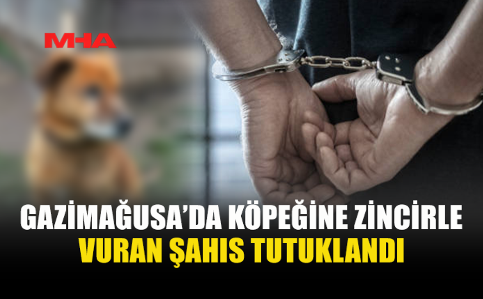 KÖPEĞİNE İŞKENCE ETTİĞİ İDDİASIYLA TUTUKLANDI