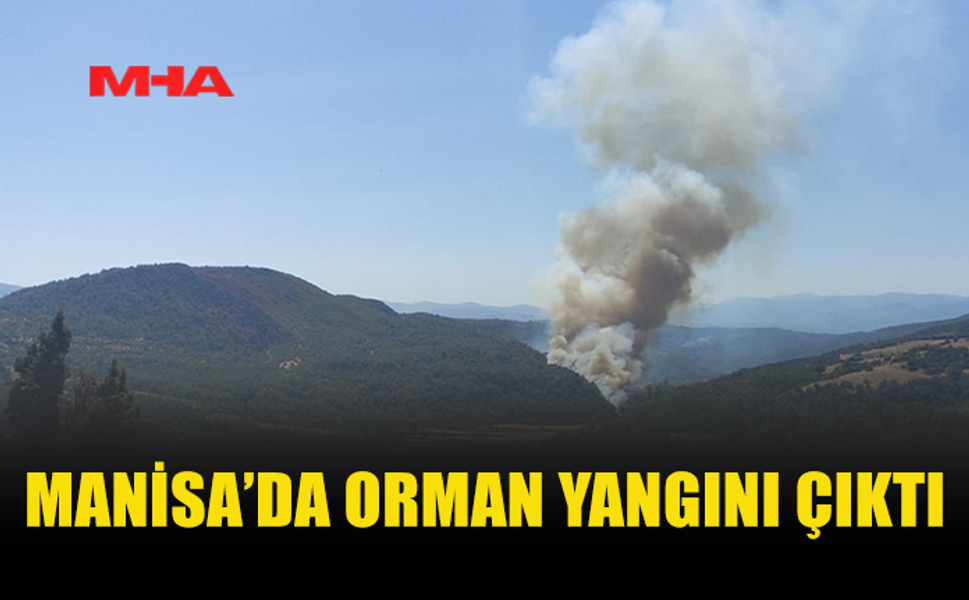 MANİSA'NIN SOMA İLÇESİNDE ORMAN YANGINI ÇIKTI