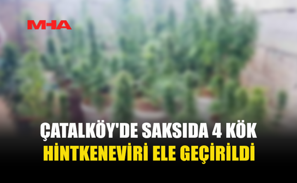 SAKSILARA HİNTKENEVİRİ EKTİ, NARKOTİK SUÇÜSTÜ YAKALADI