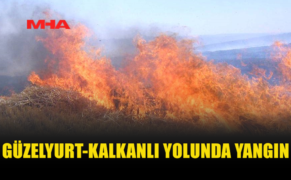 GÜZELYURT-KALKANLI YOLUNDA YANGIN: 12 DÖNÜM ALAN ZARAR GÖRDÜ