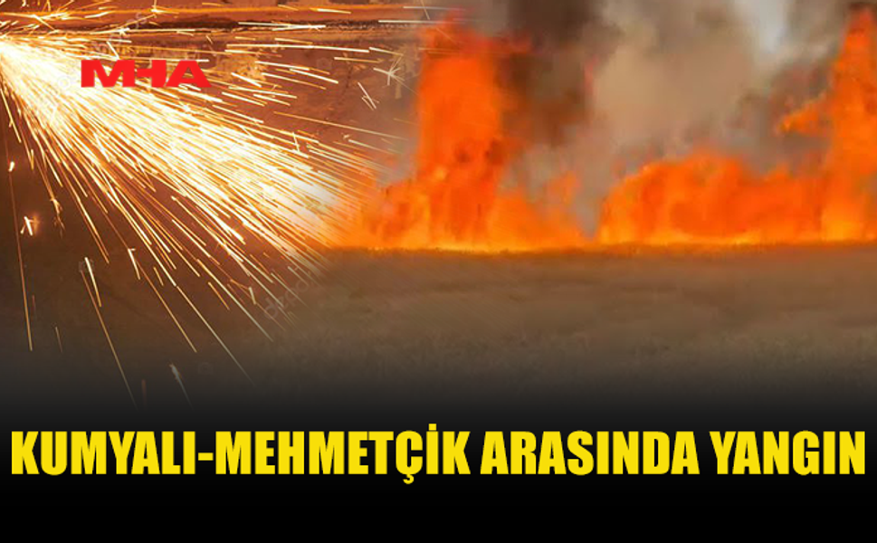 KUMYALI-MEHMETÇİK ARASINDA YANGIN MEYDANA GELDİ