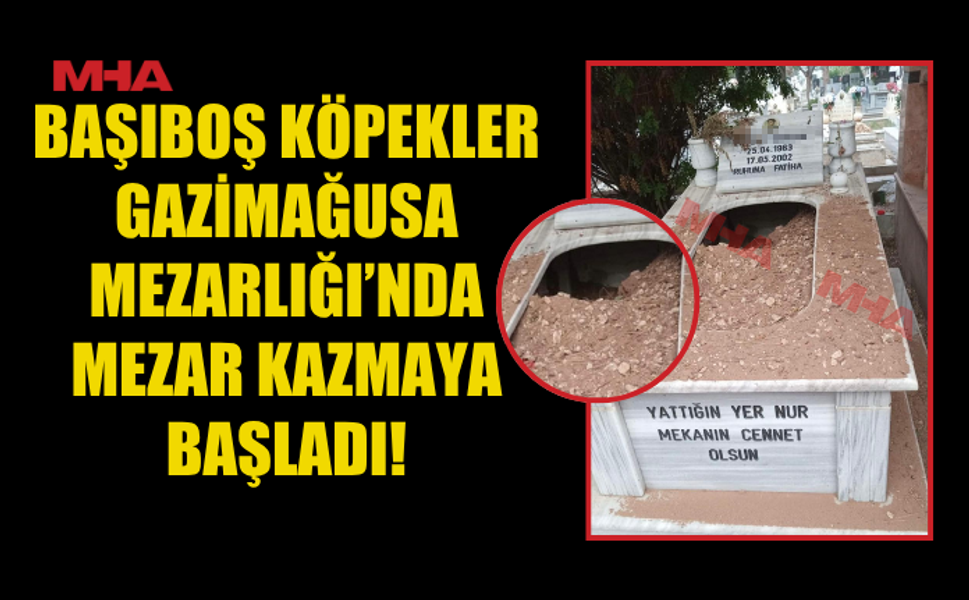 GAZİMAĞUSA'DA BAŞIBOŞ KÖPEKLERDEN MEZARLAR DA NASİBİNİ ALDI