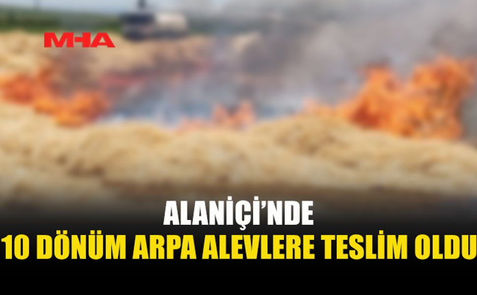 ALANİÇİ’NDE  BİÇİLMEMİŞ ARPA VE ANIZ YANDI