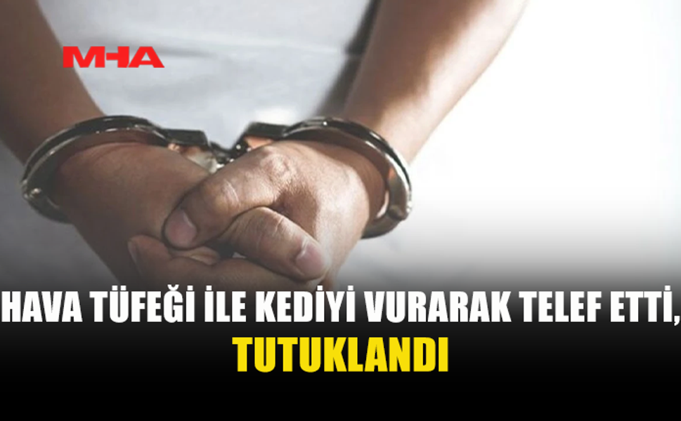 KOZANKÖY'DE KEDİYE ATEŞ EDEN ŞAHIS GÖZALTINA ALINDI