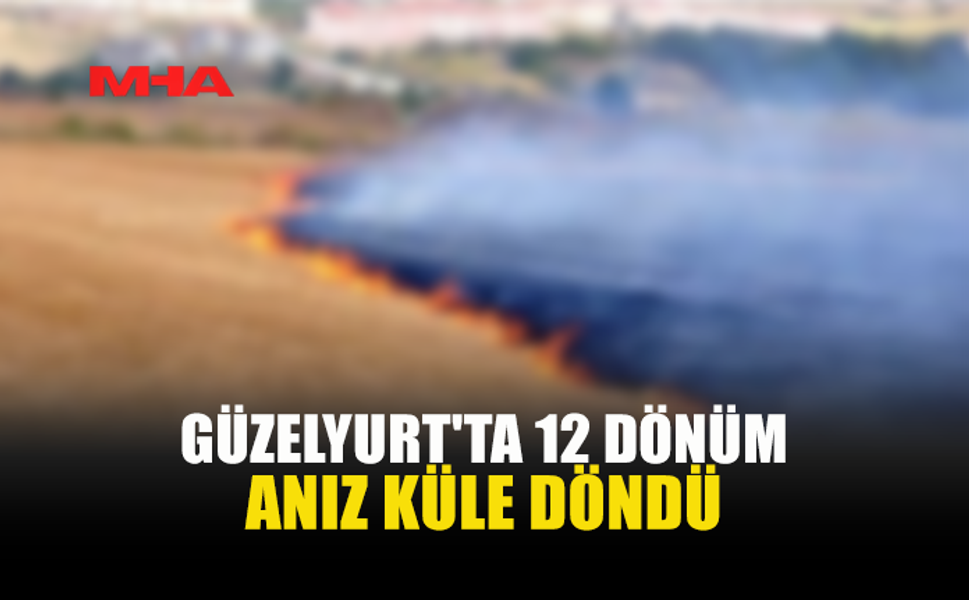 GÜZELYURT'TA TARIM ARAZİSİNDE KORKUTAN YANGIN