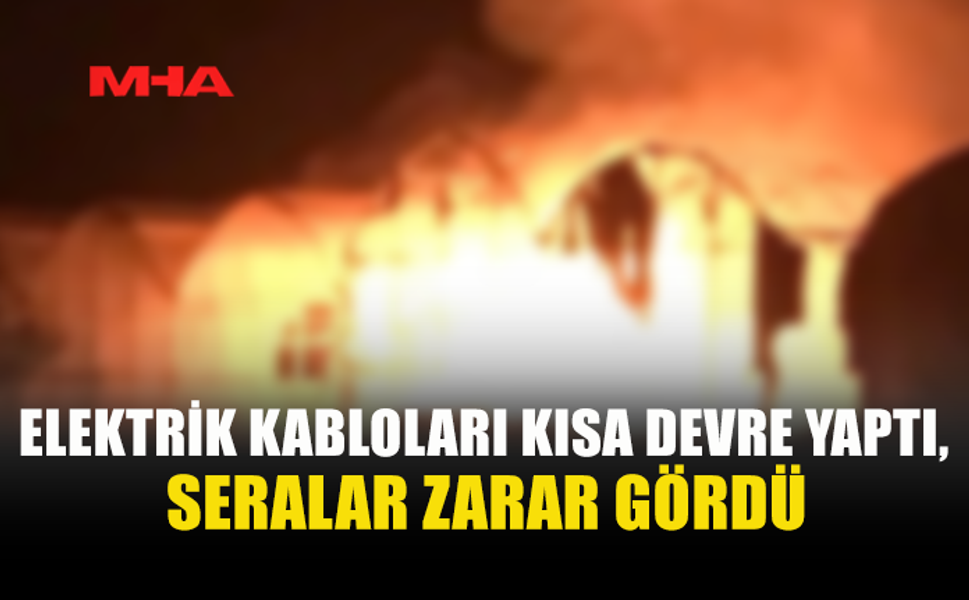 GAZİMAĞUSA'DA SERALAR BÖLGESİ'NDE YANGIN