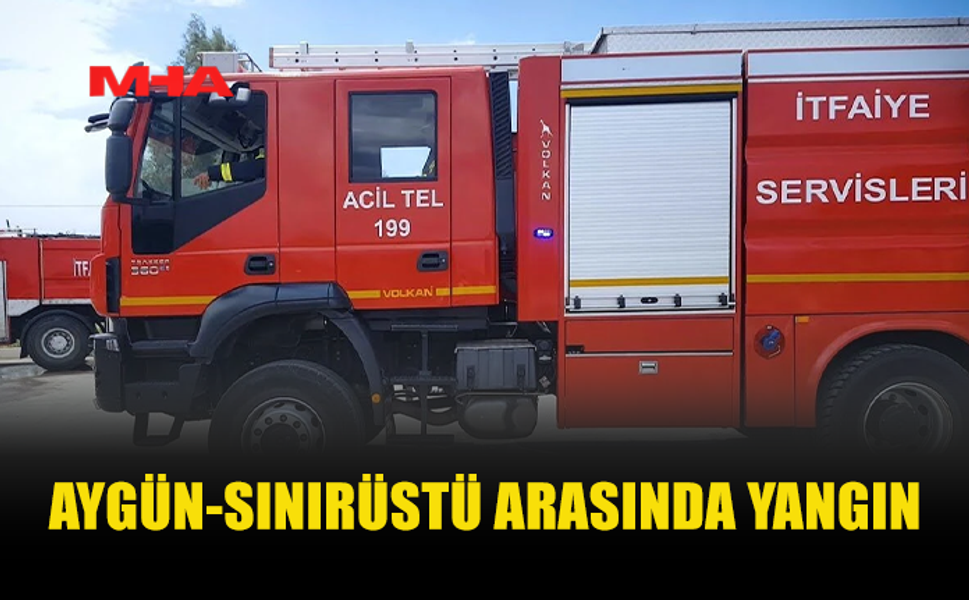 AYGÜN-SINIRÜSTÜ ARASINDA YANGIN MEYDANA GELDİ