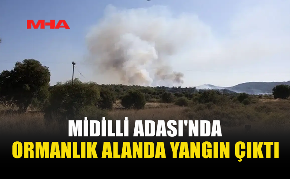YUNANİSTAN’DA BİR ADA DAHA ALEVLERE TESLİM OLDU